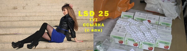 ECSTASY Гвардейск