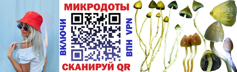 как найти закладки  Жуковский  kraken ссылки  Галлюциногенные грибы мицелий 