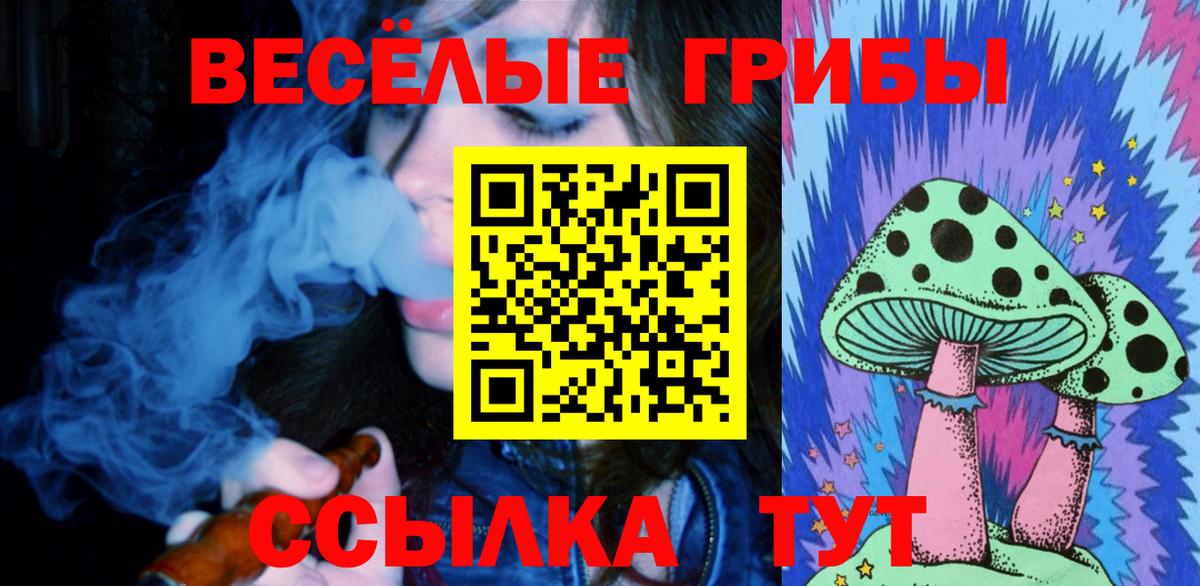 Псилоцибиновые грибы GOLDEN TEACHER  Жуковский 