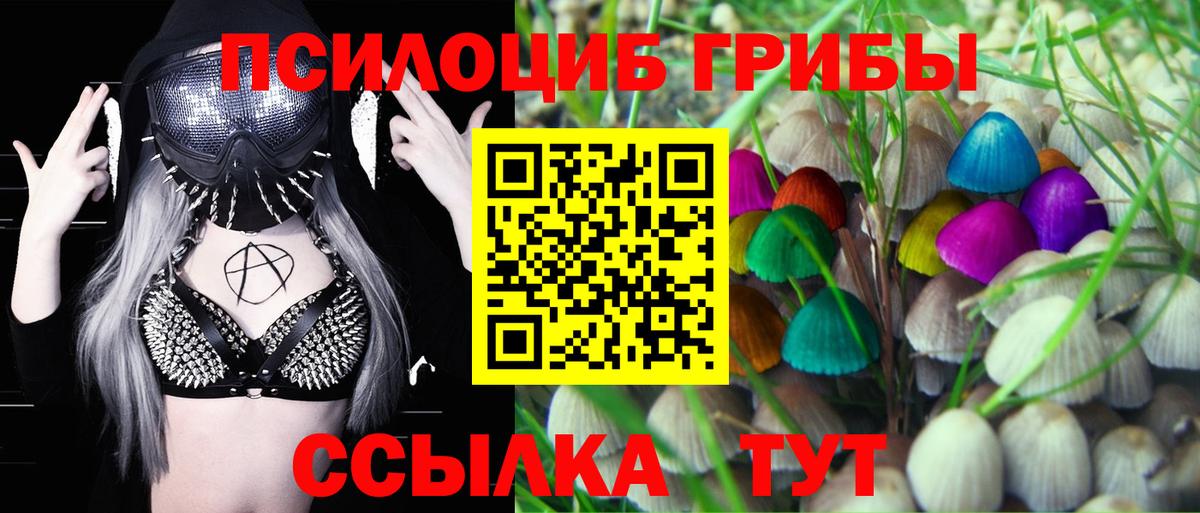 Псилоцибиновые грибы MAGIC MUSHROOMS Жуковский