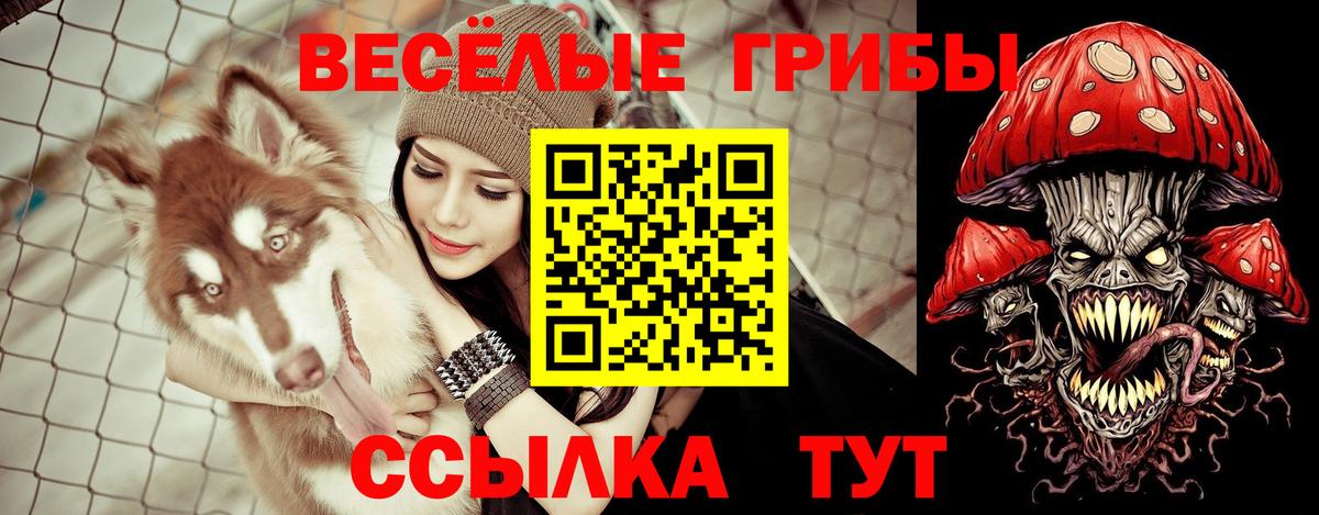 Жуковский  Галлюциногенные грибы мицелий  Вход с VPN  Псилоцибиновые грибы прущие грибы 