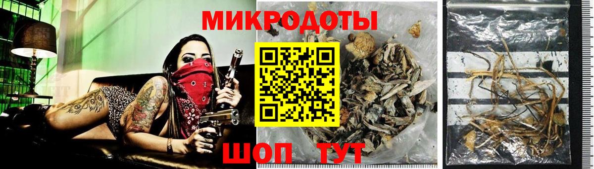 Псилоцибиновые грибы MAGIC MUSHROOMS Жуковский